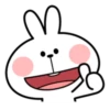 Spoiled Rabbit Facial Expression 19
