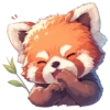 Red panda 13