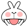 Spoiled Rabbit Facial Expression 21