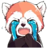 Red panda 17