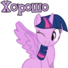 I'm Twilight 24