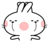 Spoiled Rabbit Facial Expression 22