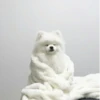 Dog 22