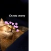 Стики из 11