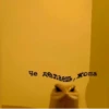 Стики из 12