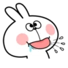 Spoiled Rabbit Facial Expression 23