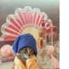 Broken Cats 3 24