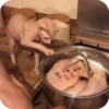 Bad Cats 25