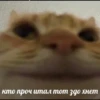 Стики из 14