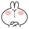 Spoiled Rabbit Facial Expression 29