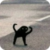 Bad Cats 29