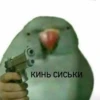 Стики из 15