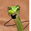 SNAKES 5