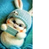 Bunny cute 6