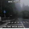 жиза 8