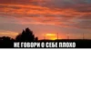 жиза 10