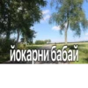 жиза 12