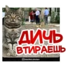 Николаев Blacklist 10