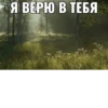 жиза 13