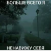 жиза 14