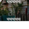 жиза 16