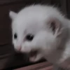 Стикеры тYт: 8