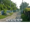 жиза 18