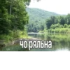 жиза 19