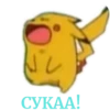 Pikachu RABBITtu 12