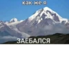 жиза 21