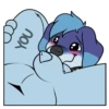 SaucySoup Pup Pack 14