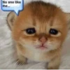 No one like me...