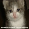 Стики 8193 из 21