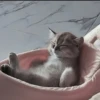 Стикеры тYт: 10