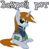 I'm Littlepip 16