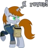 I'm Littlepip 17