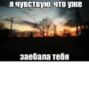 жиза 22