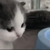 Стикеры тYт: 14