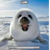 ILOVE YYYYYOOOOOUUUUUU!!!!!!