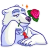 Polar Bear 16