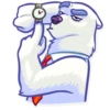 Polar Bear 18