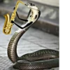 SNAKES 19