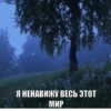 жиза 24