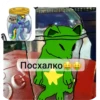 Нигерс 19