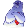 Polar Bear 20