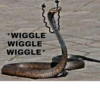 SNAKES 21
