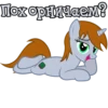 I'm Littlepip 22