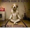 ЕБАТЬ КАК Я ХОЧУ • ВСЁ ПОНЯТЬ