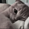 Стикеры тYт: 20