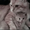 Стикеры тYт: 21